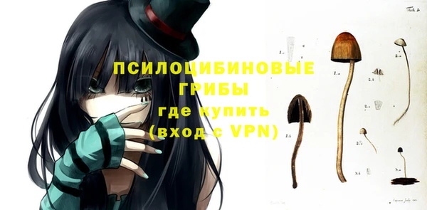 соль ск Гусь-Хрустальный