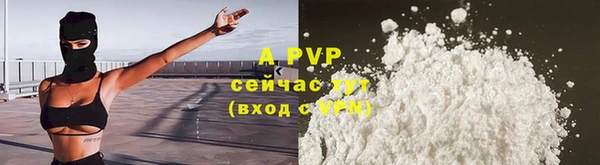 прущие крисы Гусев