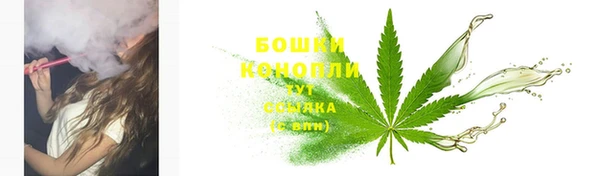 мдпв Гусиноозёрск
