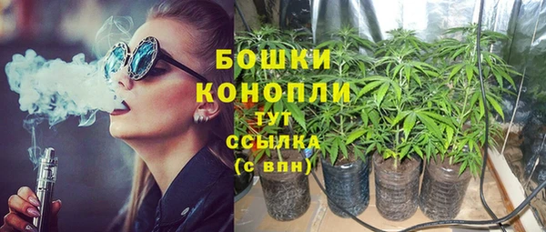 соль ск Гусь-Хрустальный